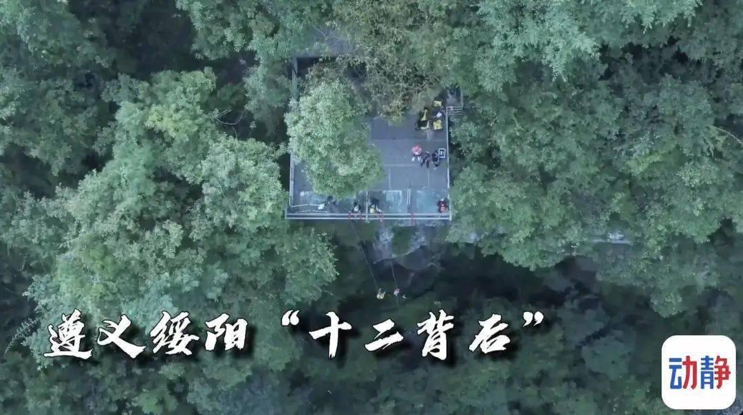 谁怜儿女花,散火冰雪中